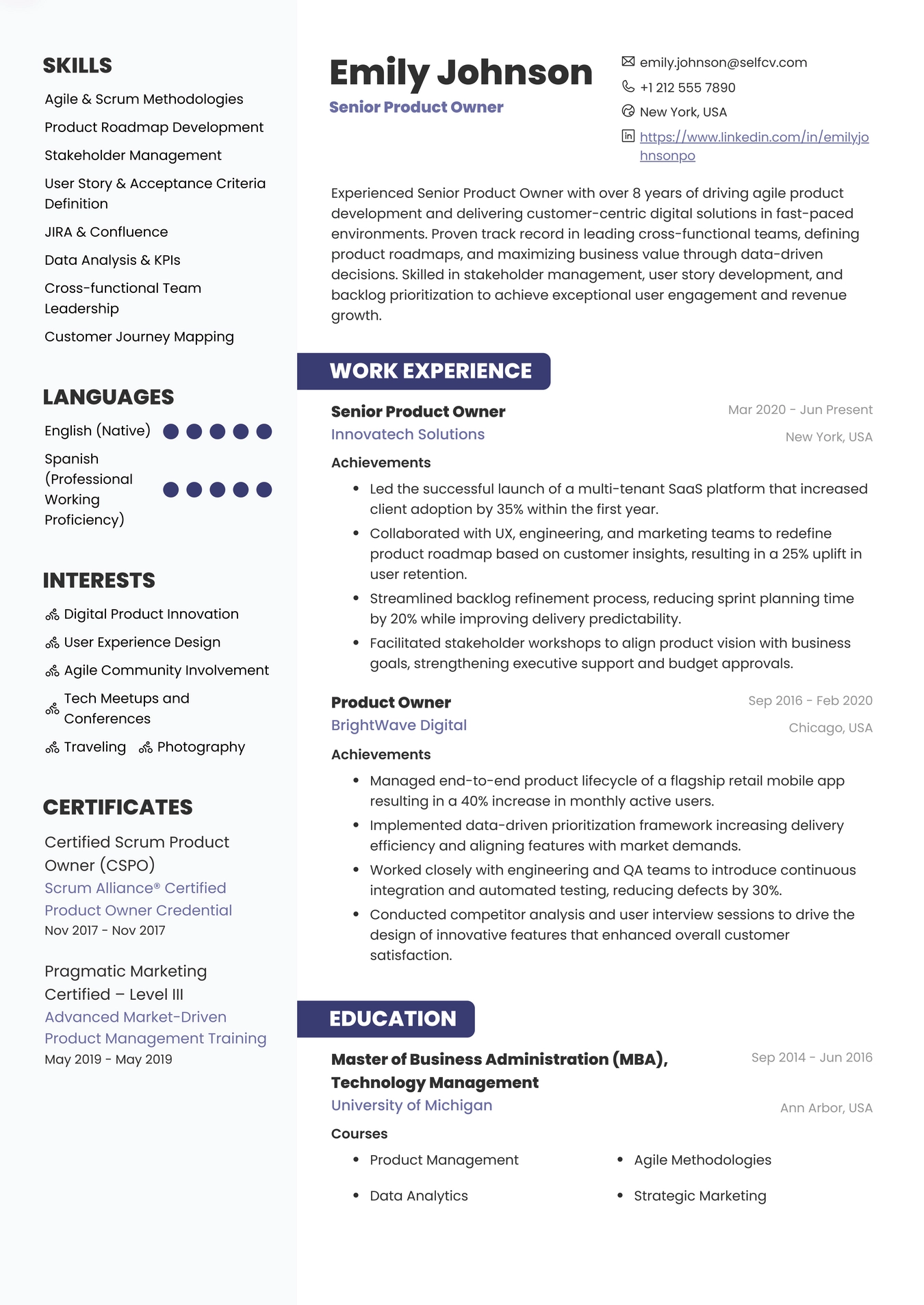 Senior Product Owner