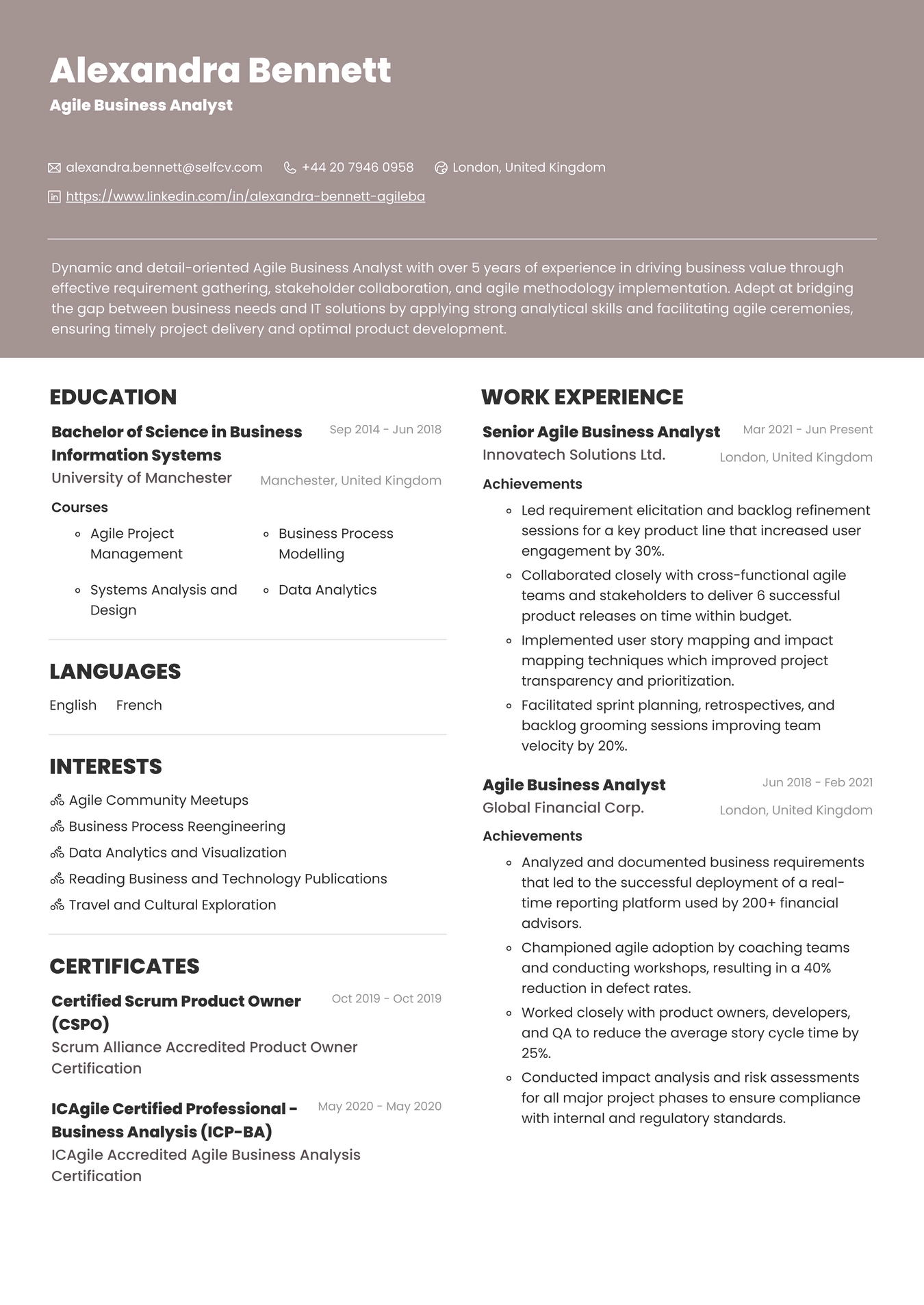 Agile Business Analyst