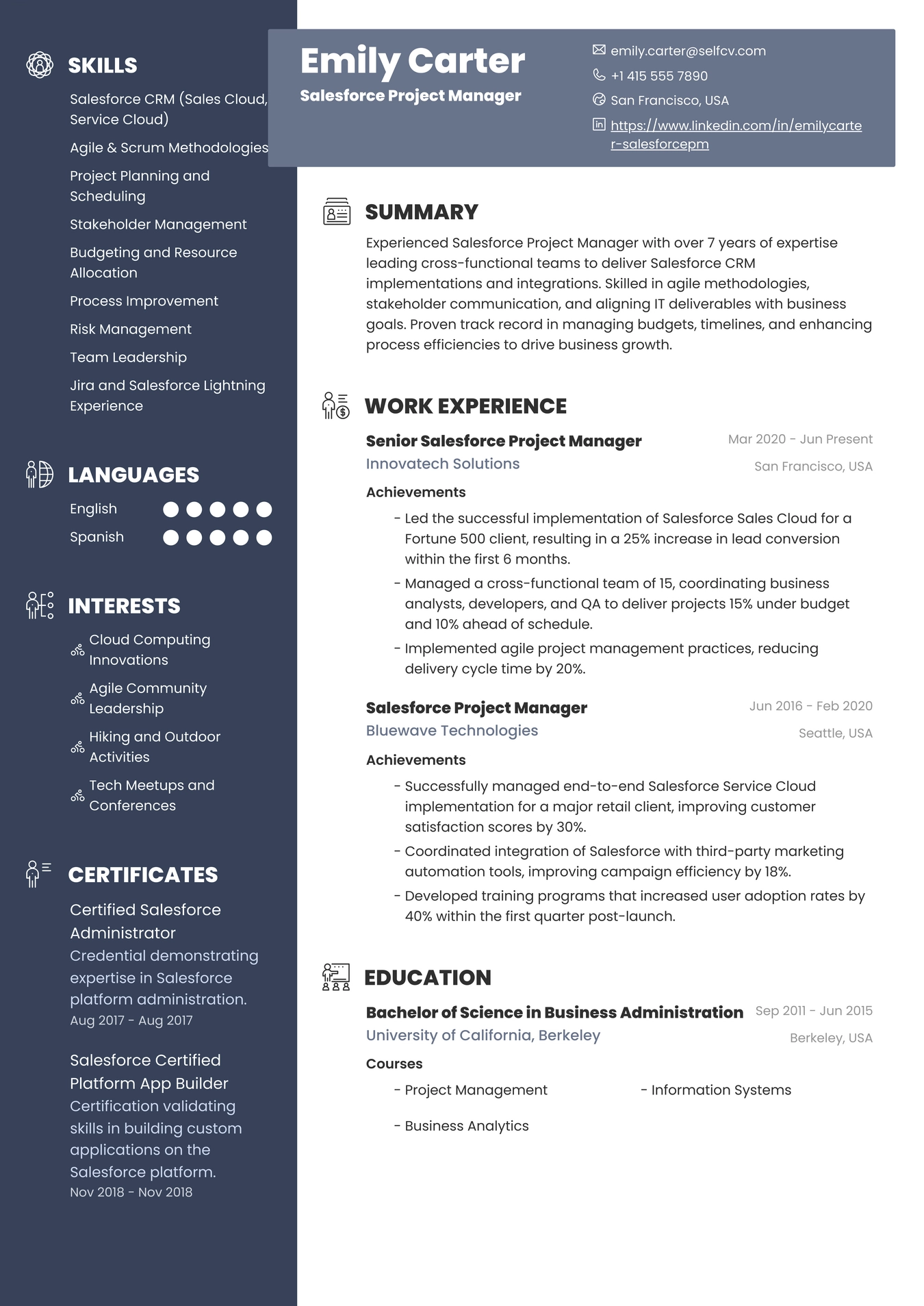 Salesforce Project Manager