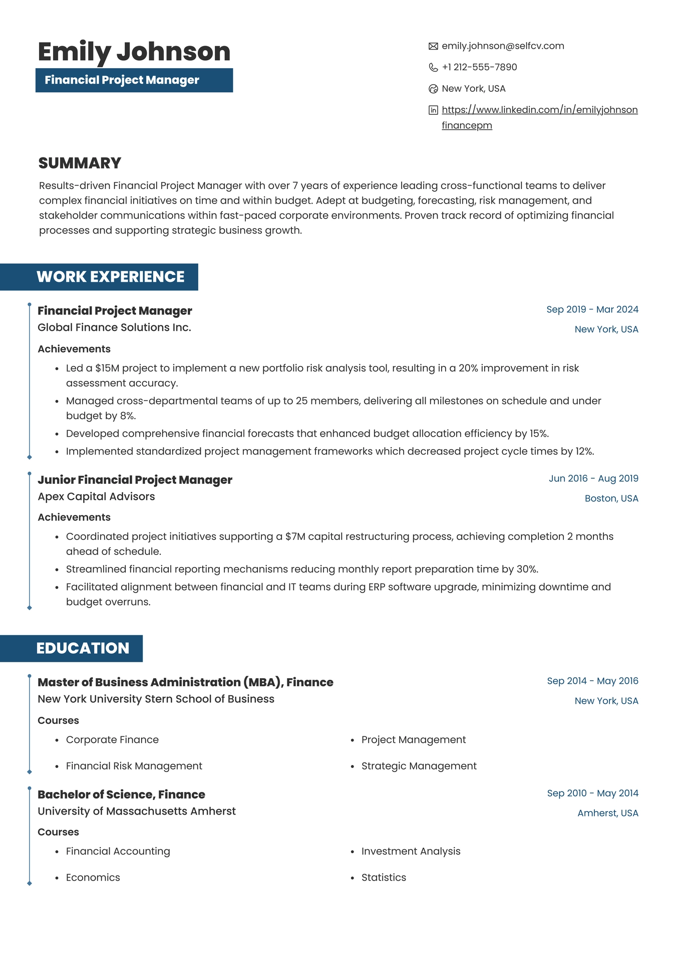 Financial Project Manager