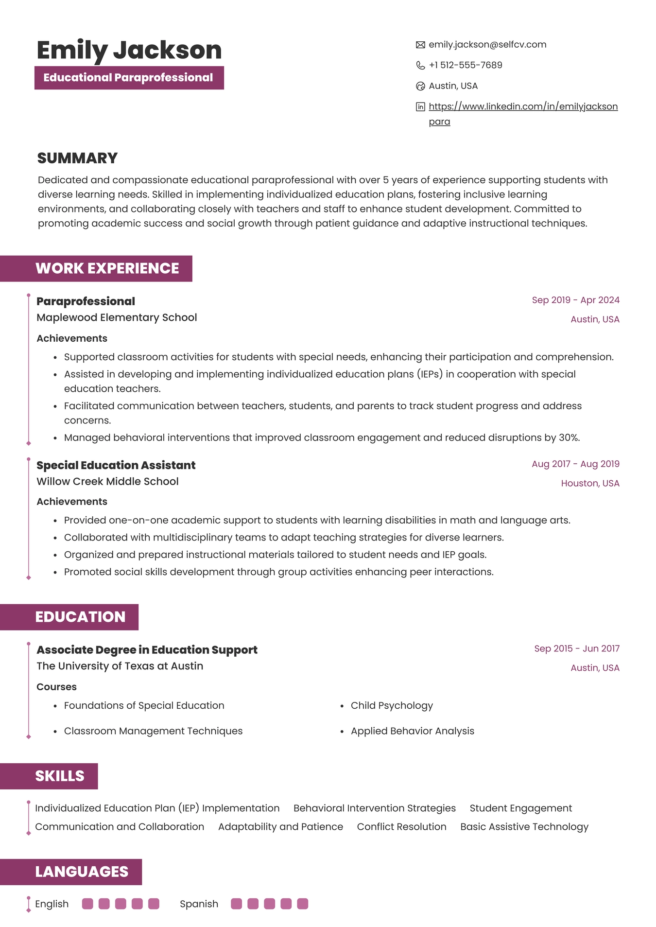 Paraprofessional Resume Example