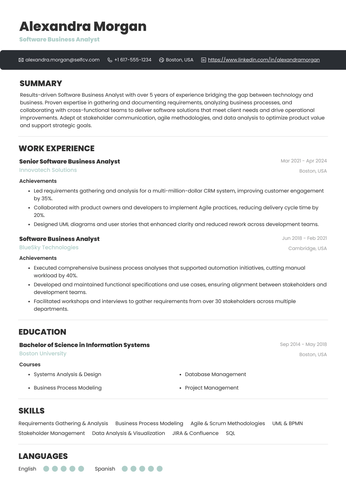 Software Business Analyst
