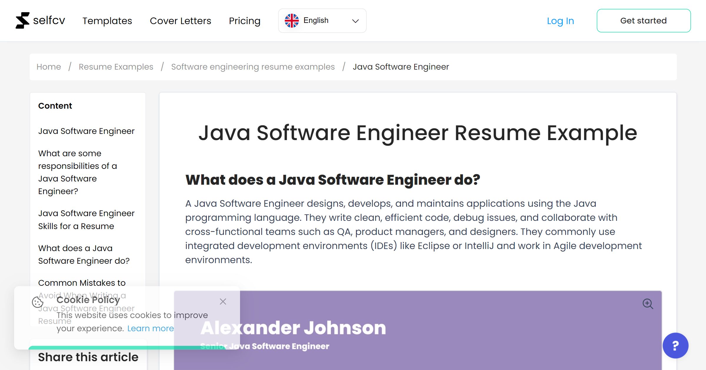 Java Software Engineer Resume Example