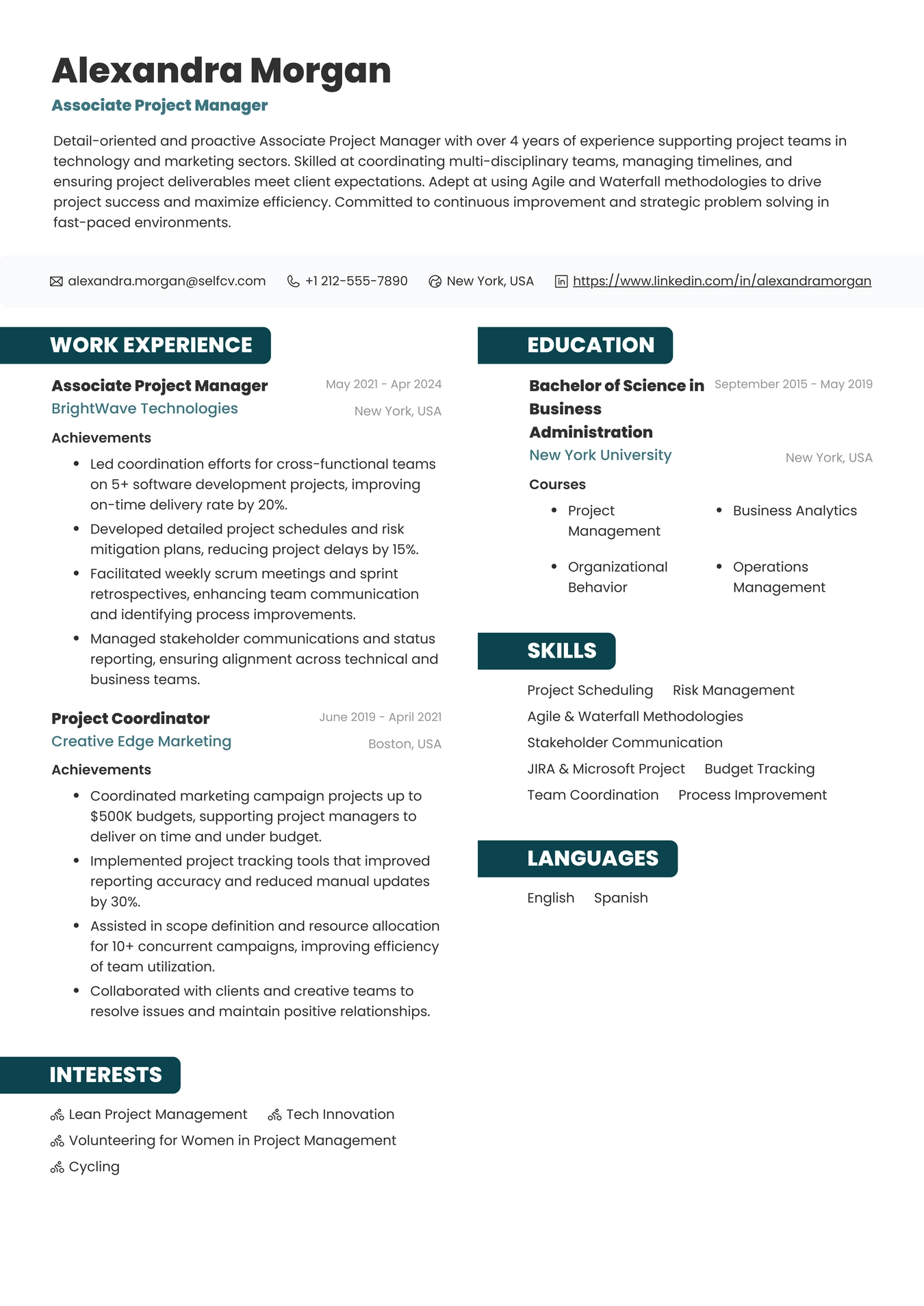 Associate Project Manager