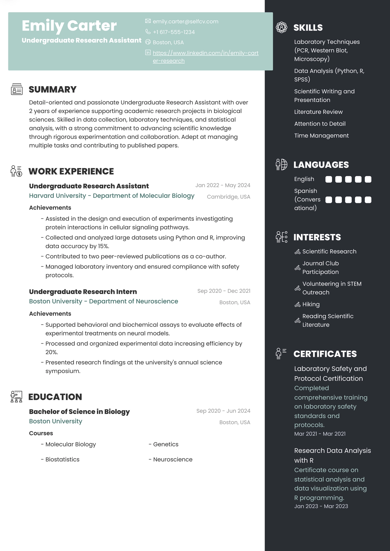 Undergraduate Research Assistant