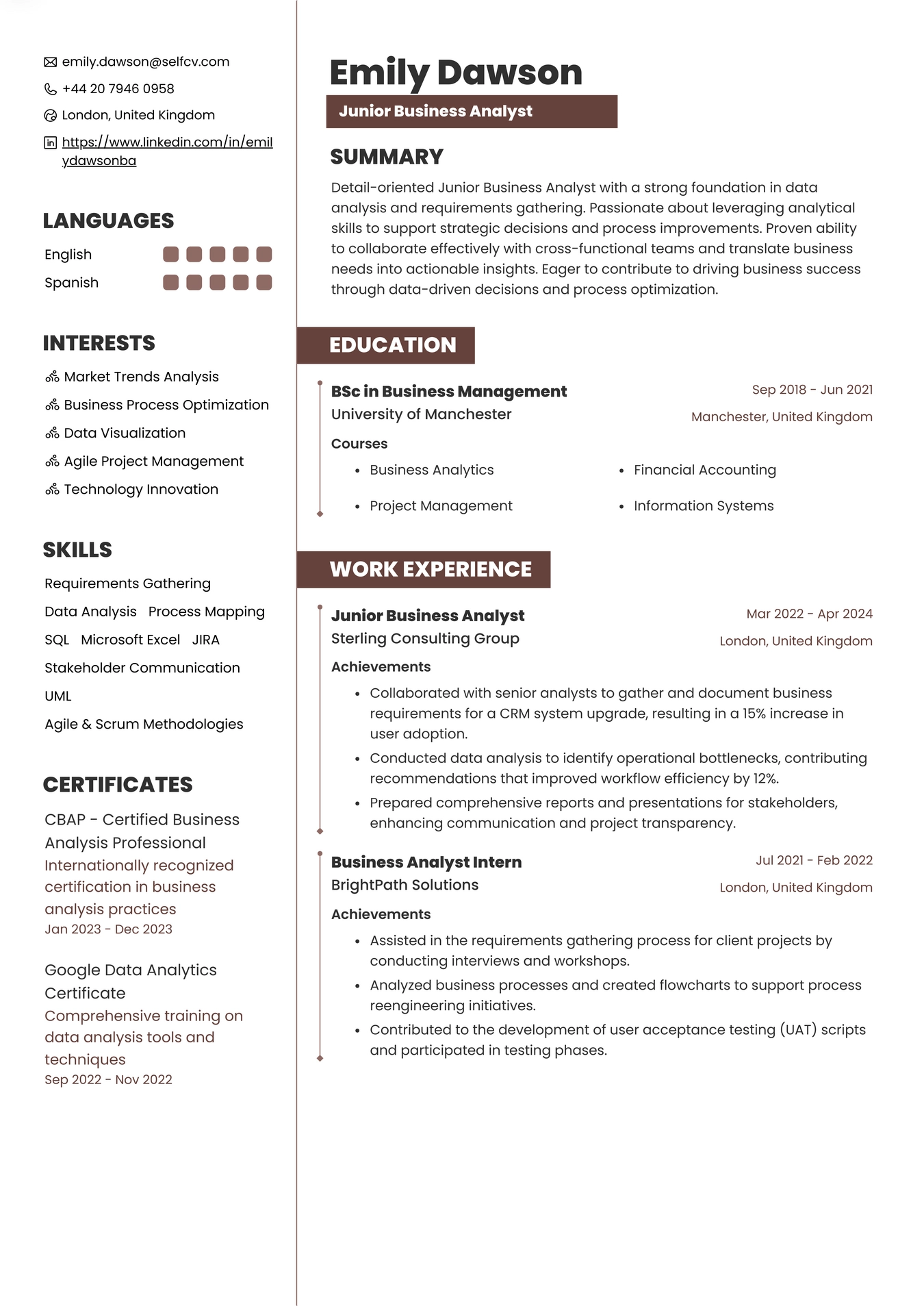 Junior Business Analyst