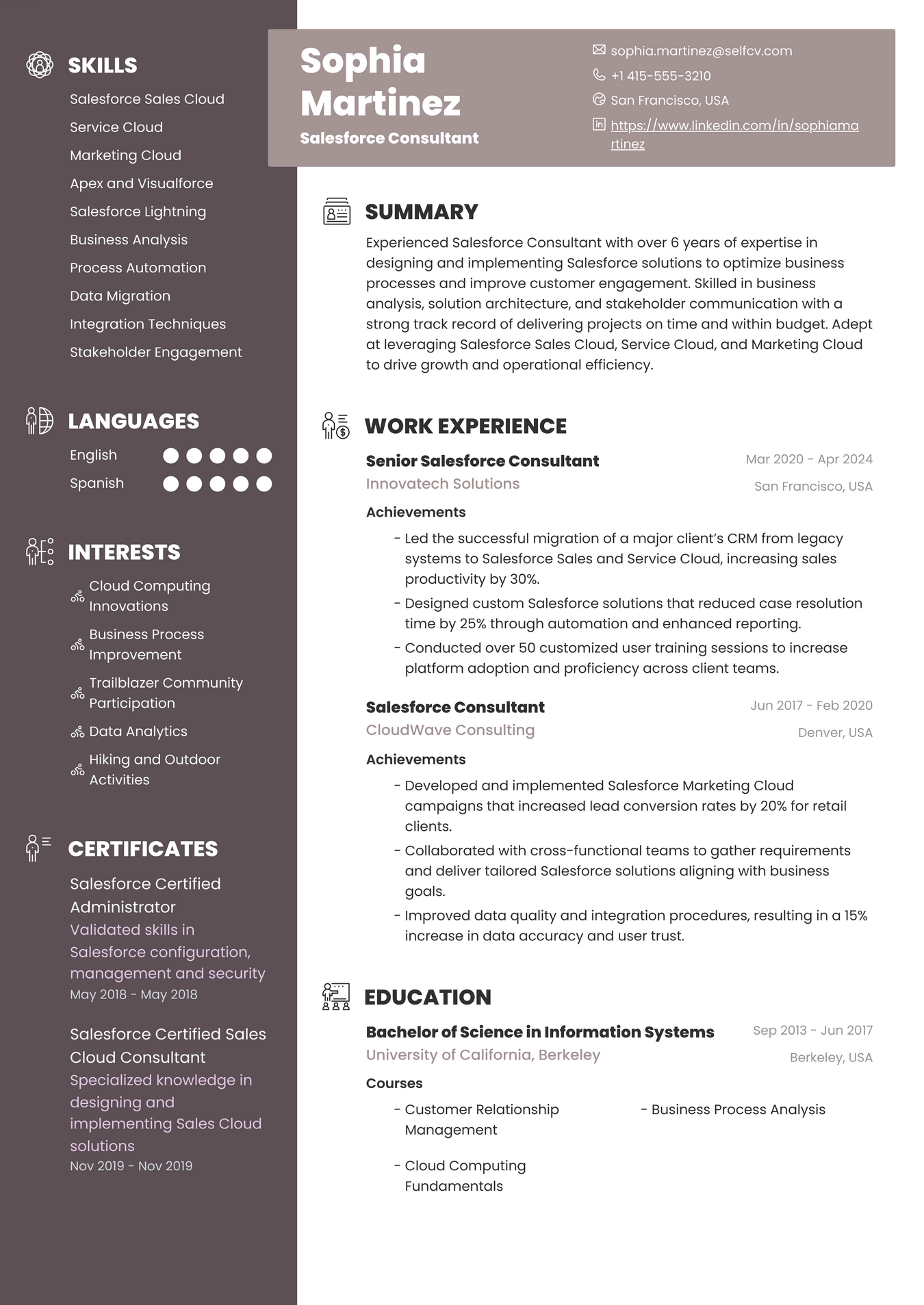 Salesforce Consultant