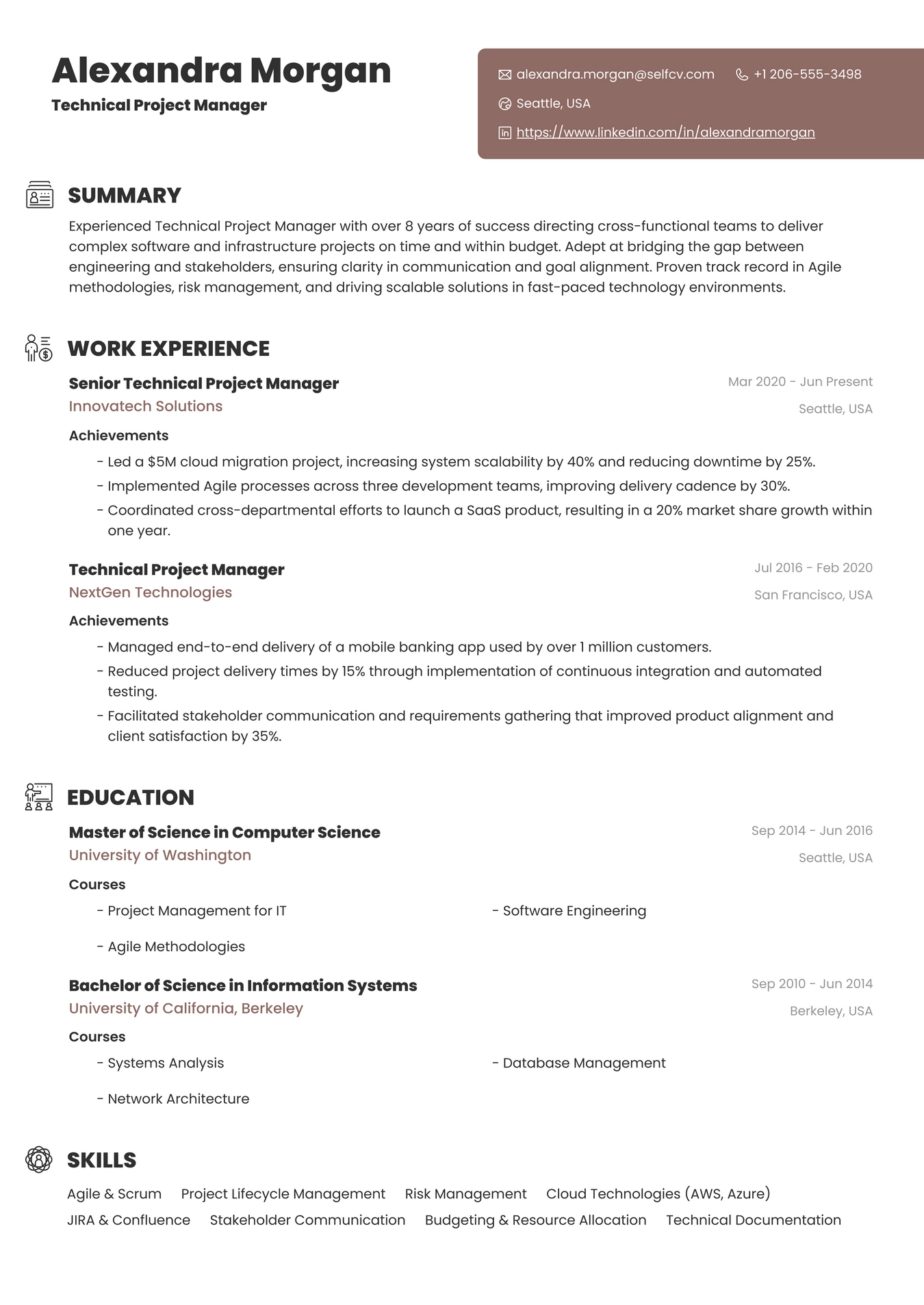 Technical Project Manager