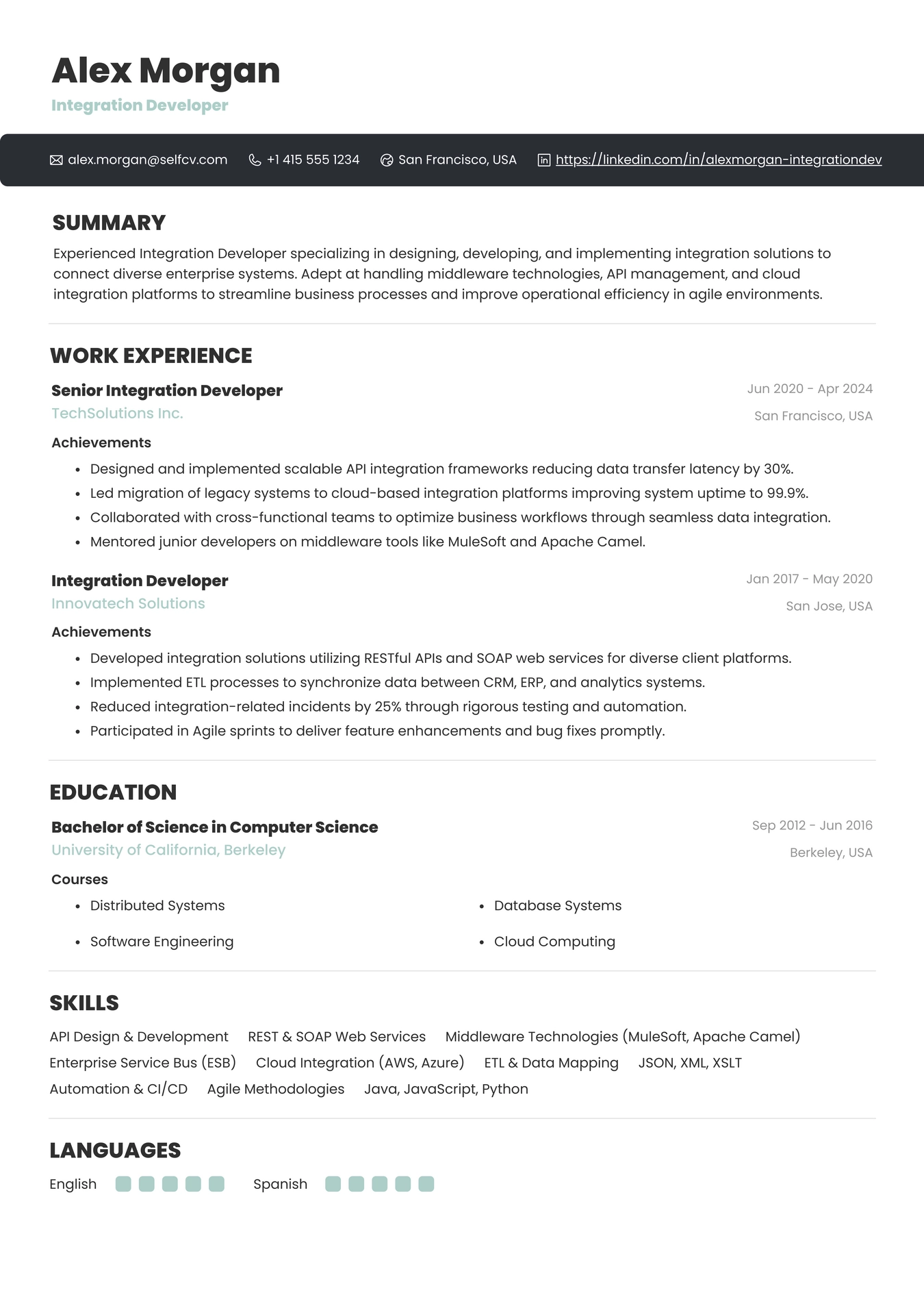 Integration Developer