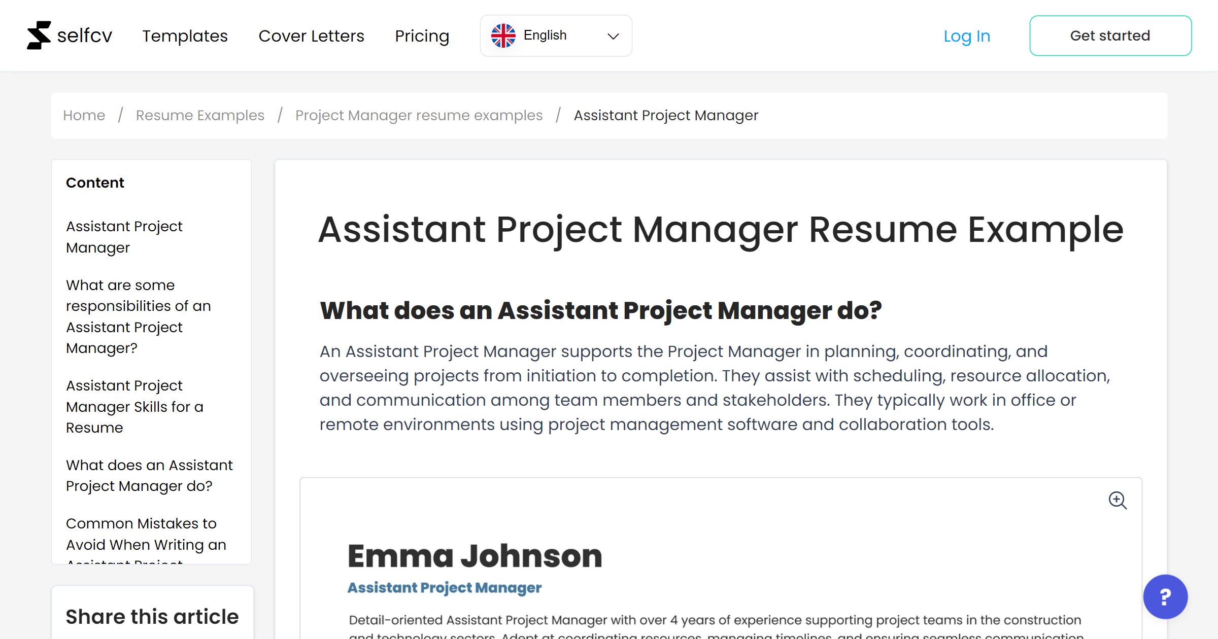 Assistant Project Manager Resume Example