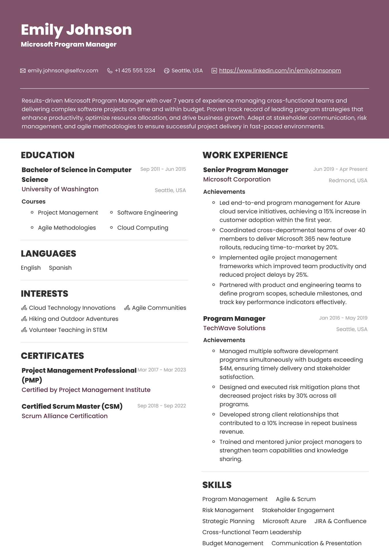 Microsoft Program Manager