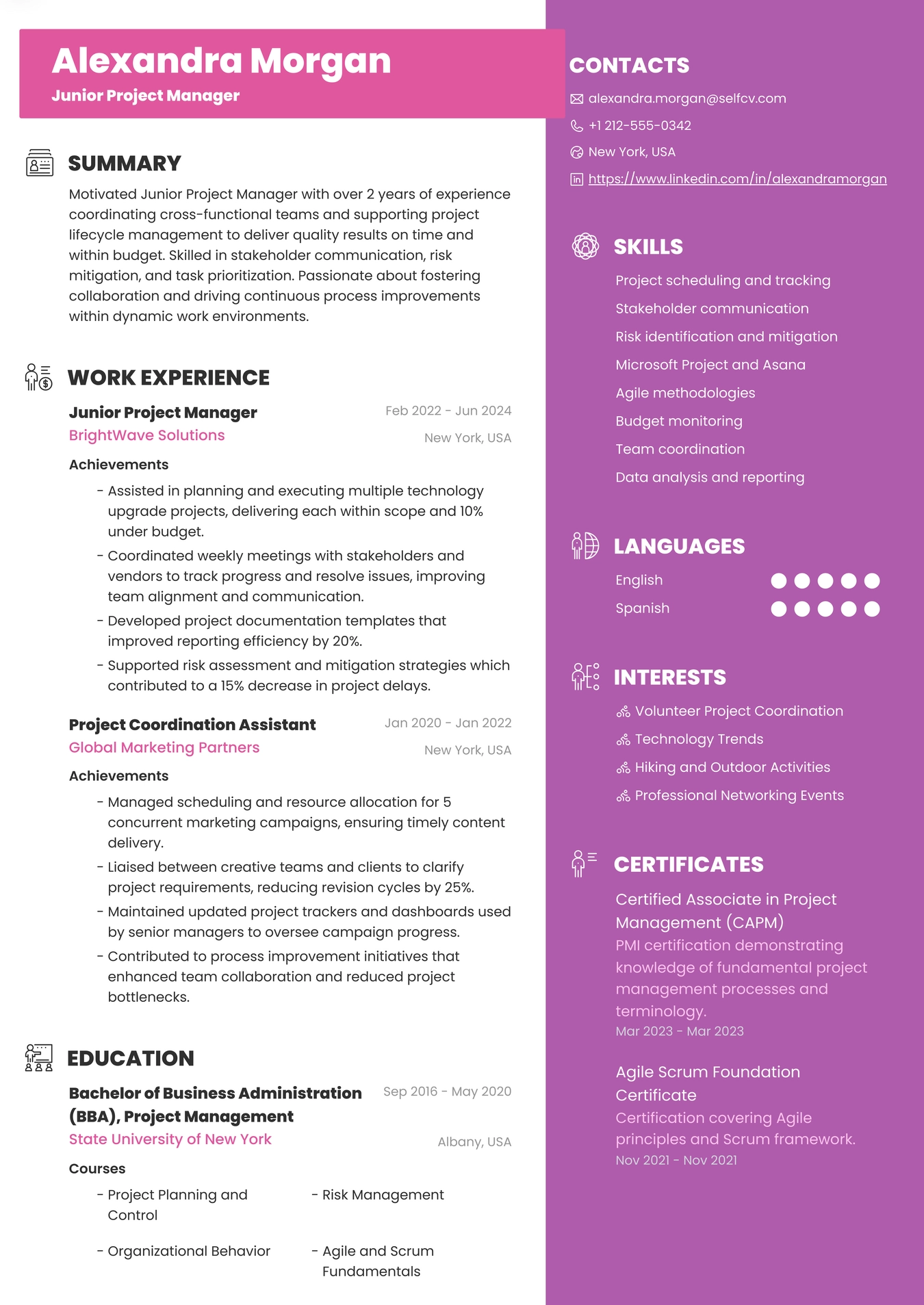 Junior Project Manager