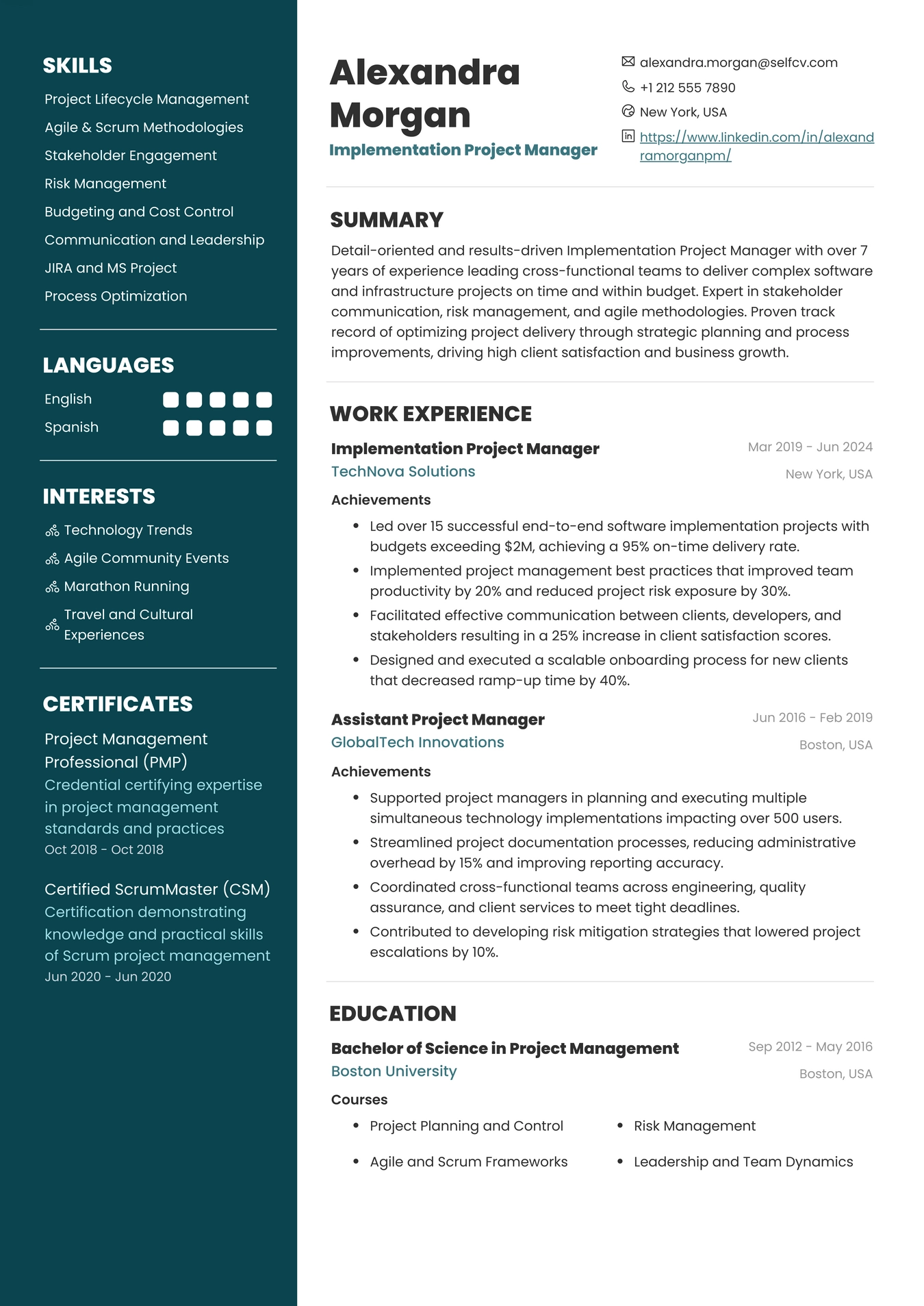 Implementation Project Manager