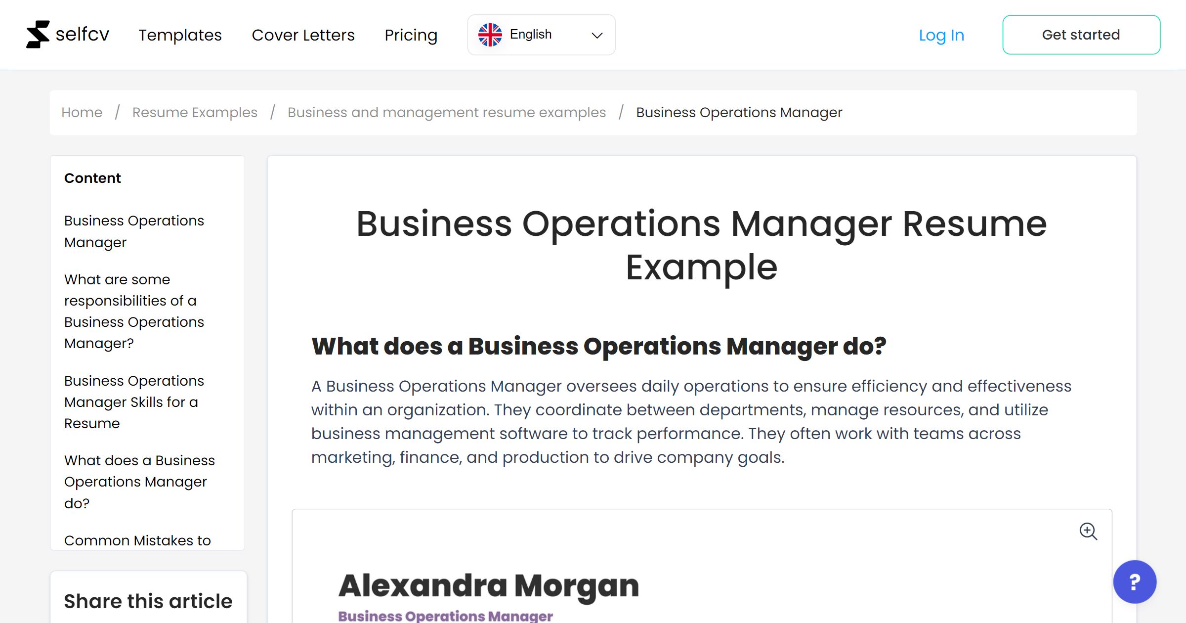 Business Operations Manager Resume Example
