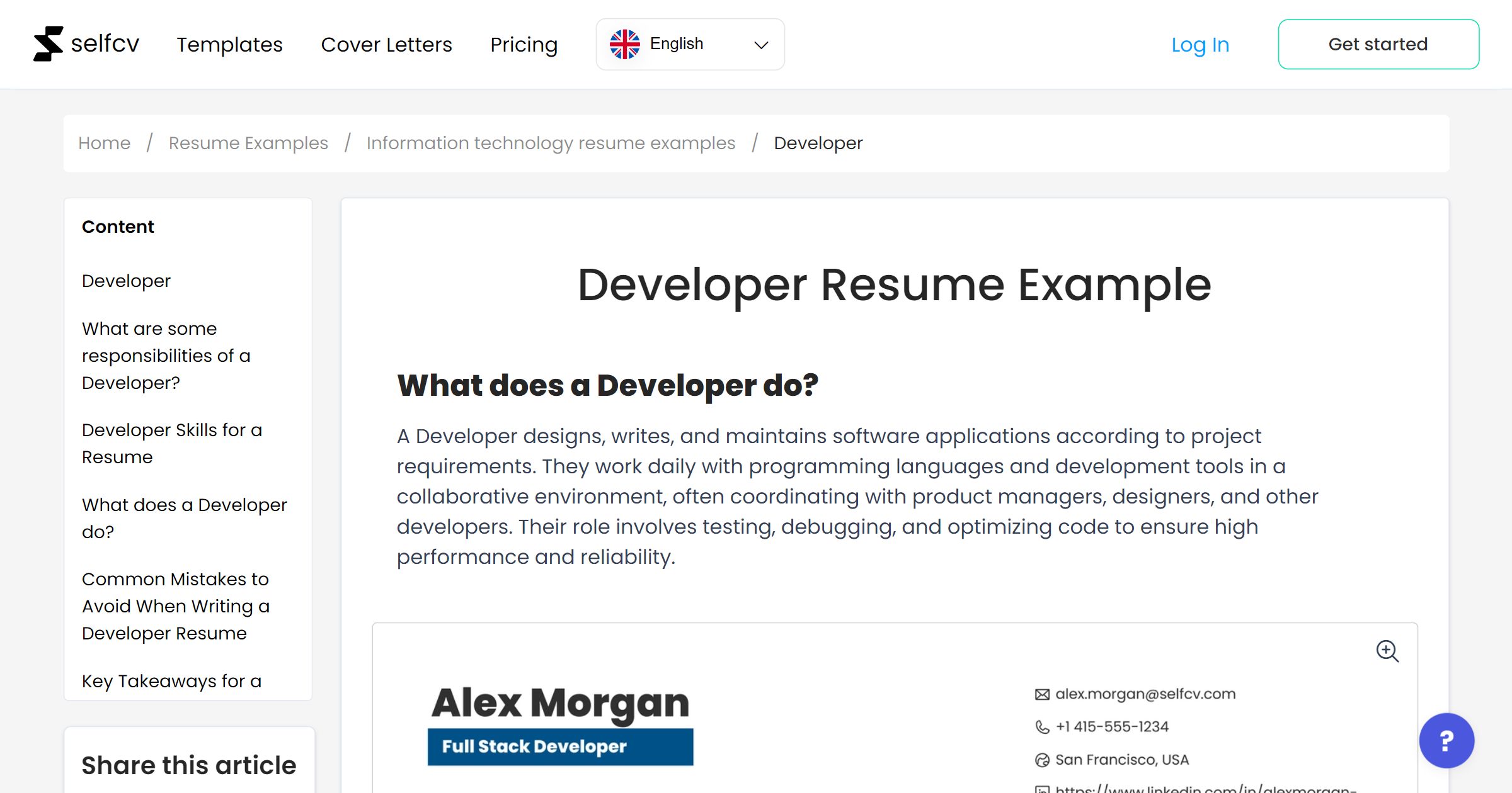 Developer Resume Example