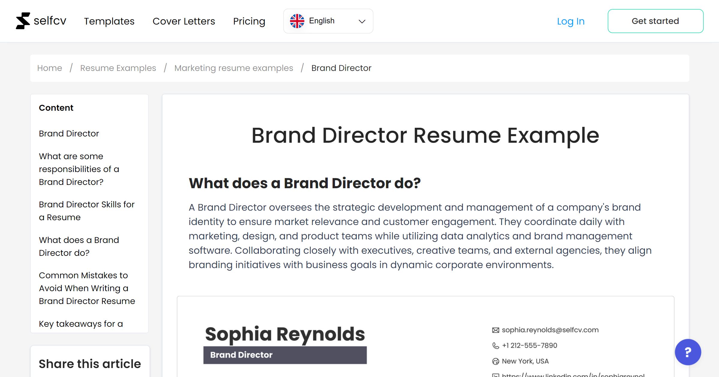 Brand Director Resume Example
