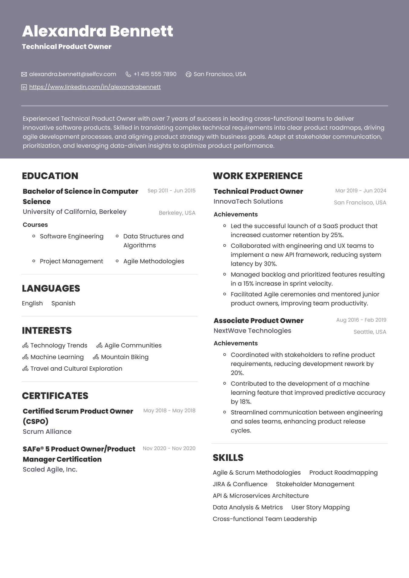 Technical Product Owner