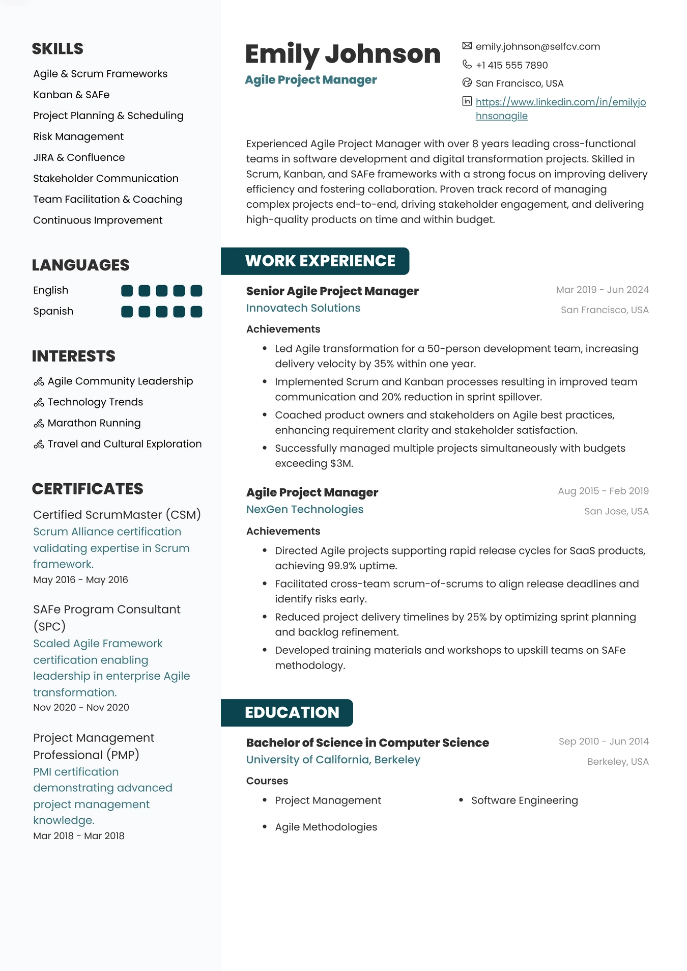 Agile Project Manager