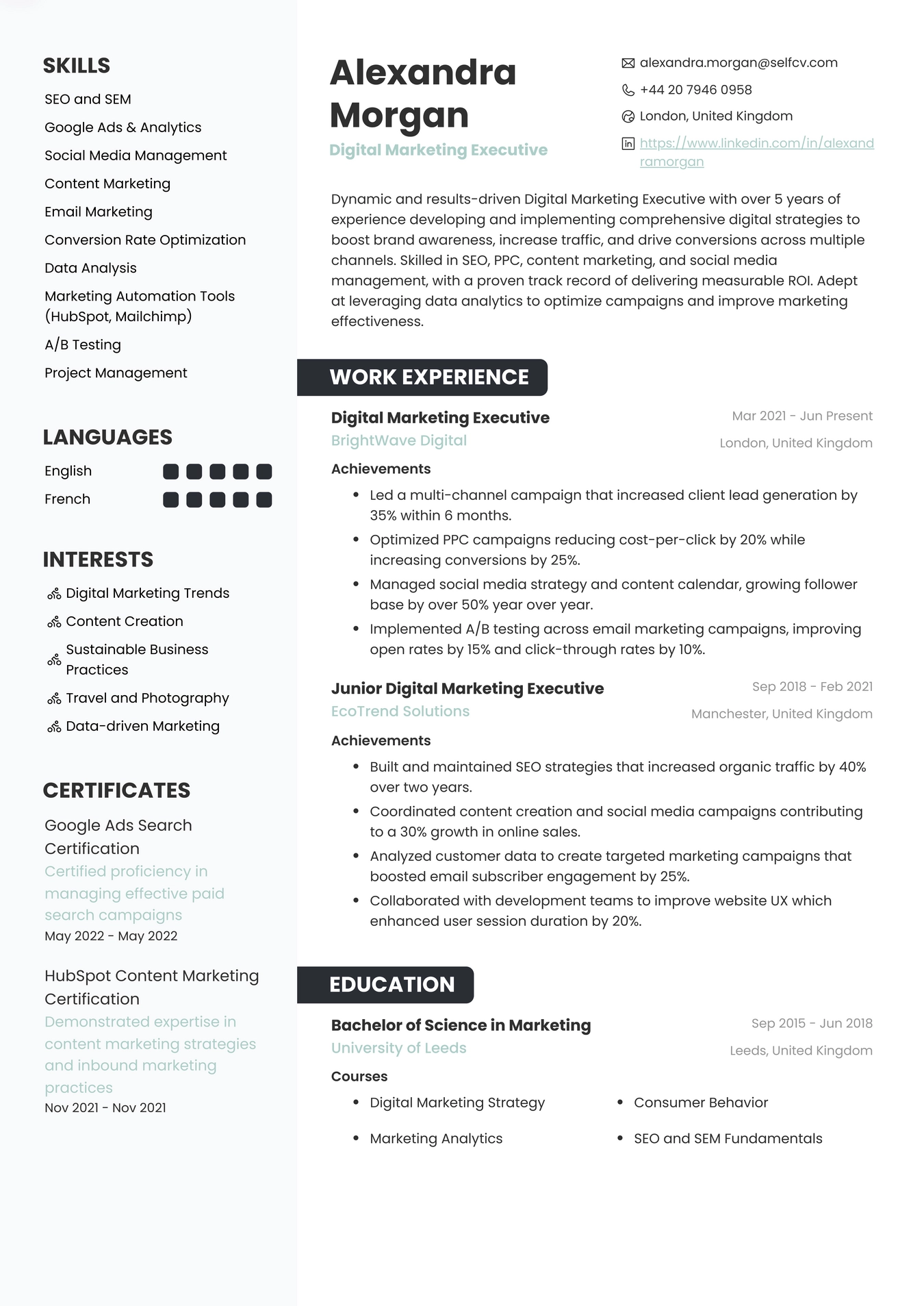 Digital Marketing Executive