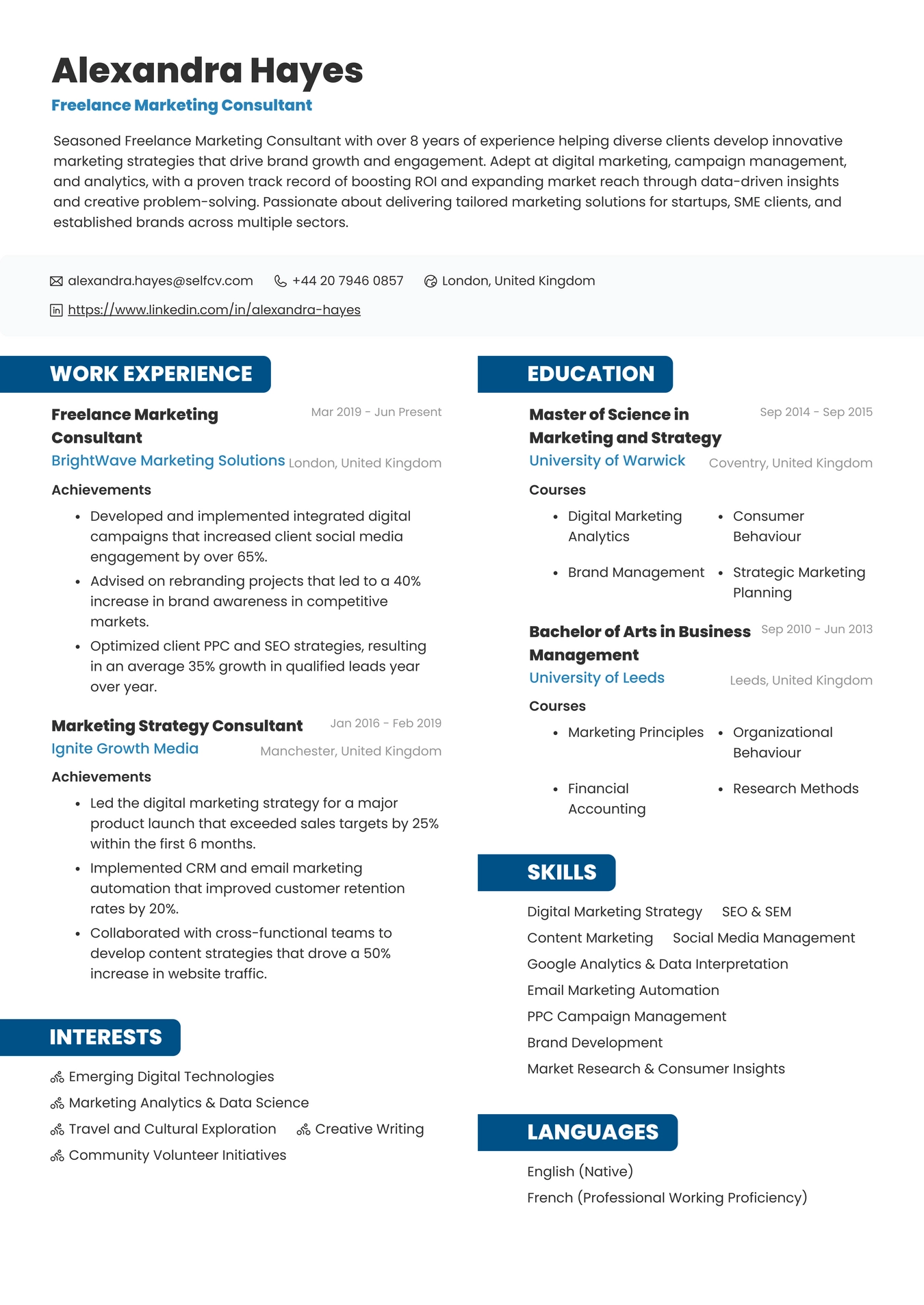 Freelance Marketing Consultant