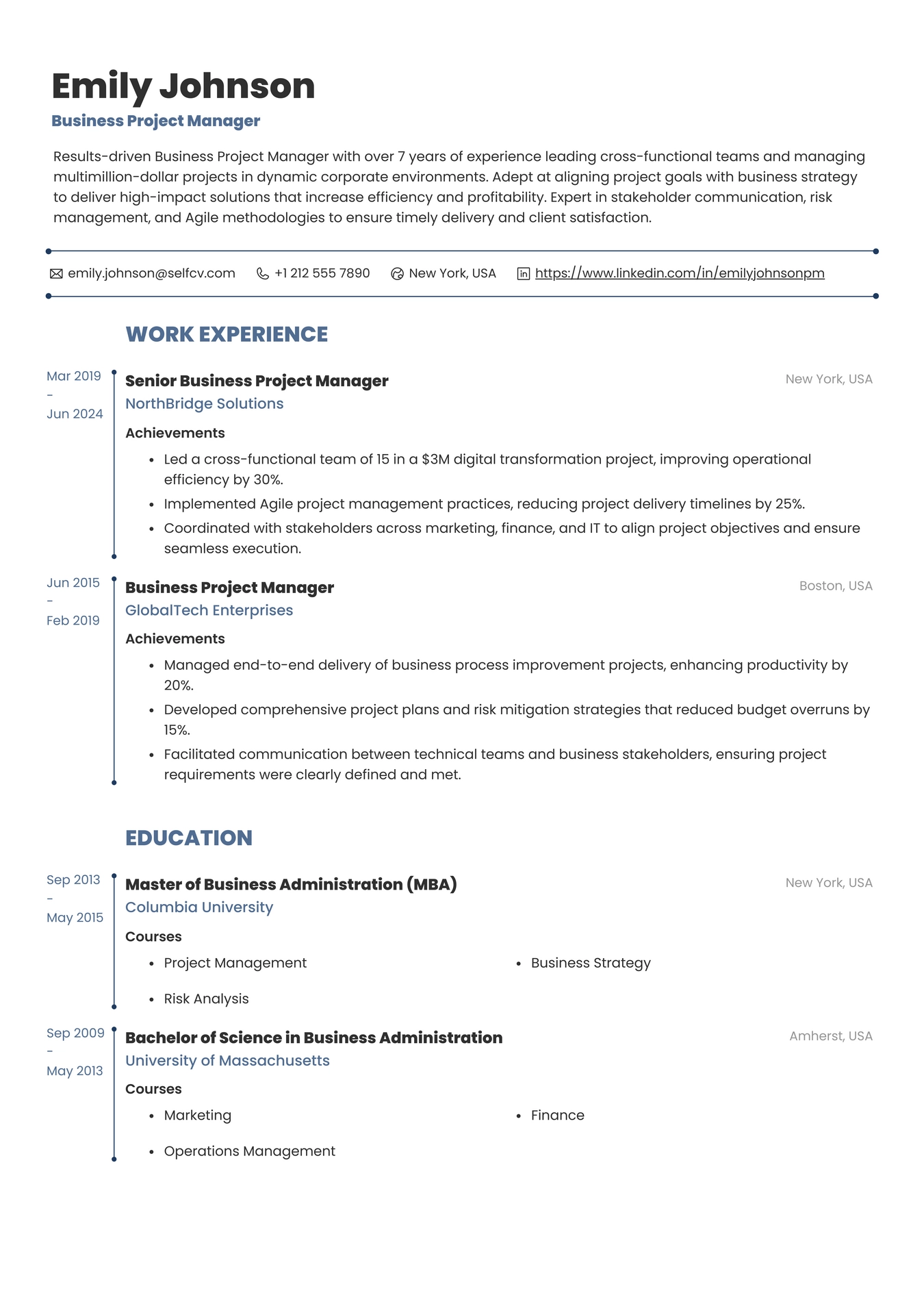 Business Project Manager