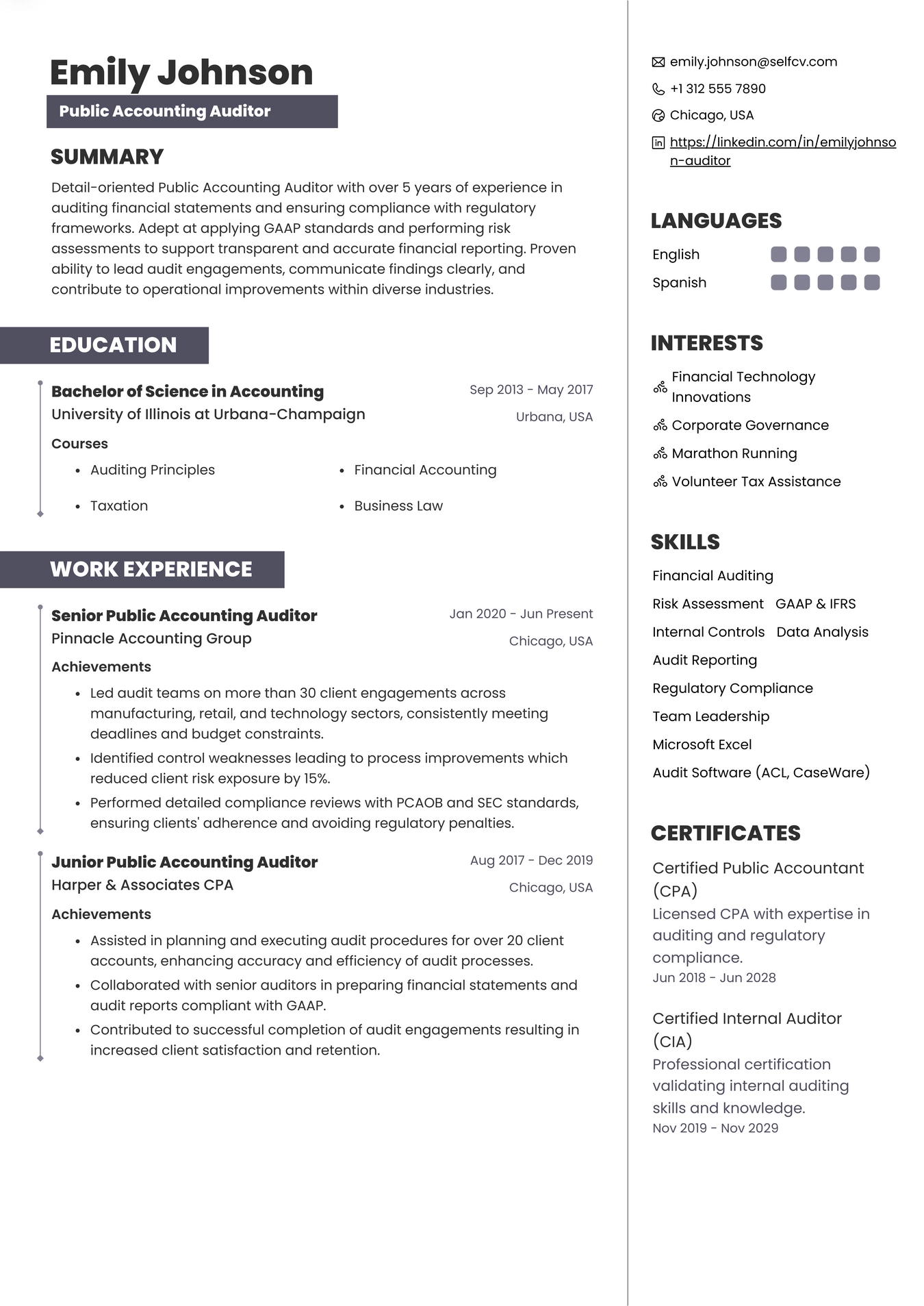 Public Accounting Auditor