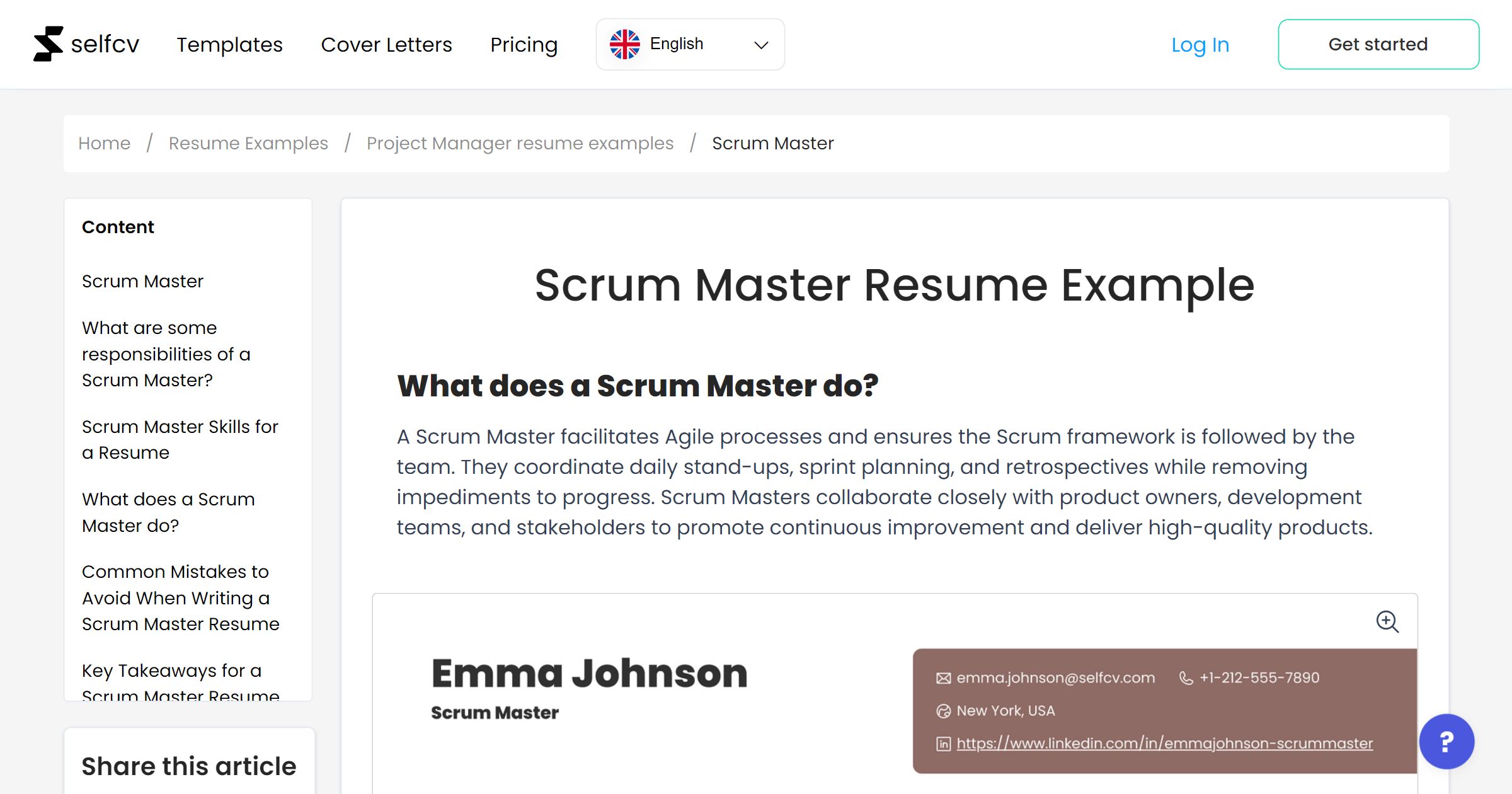 Scrum Master Resume Example