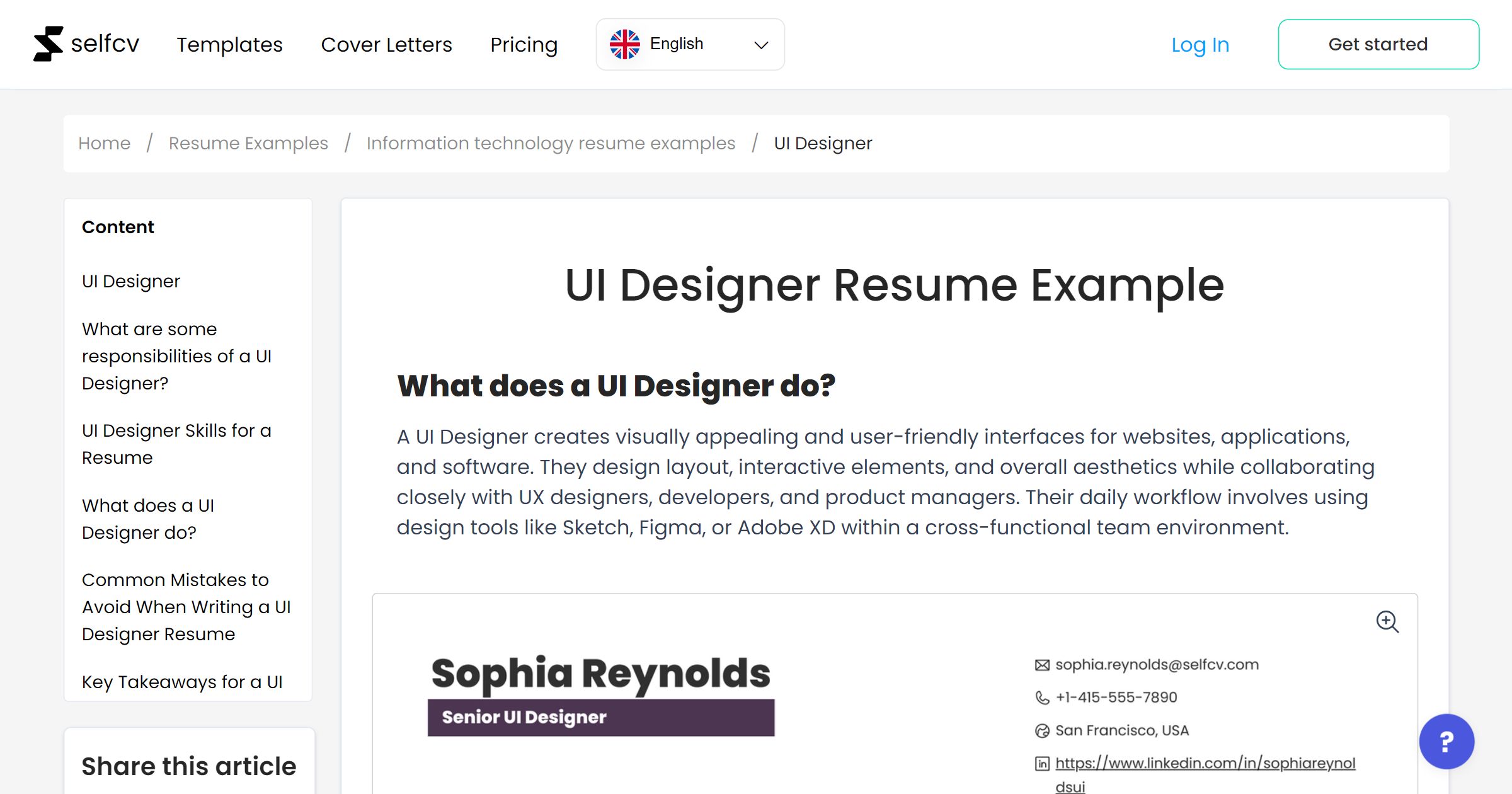 UI Designer Resume Example