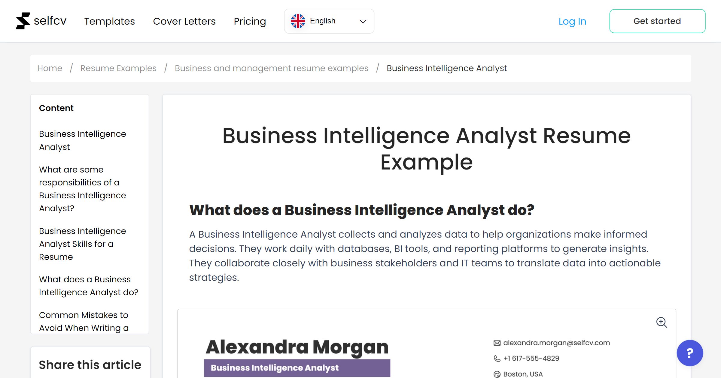 Business Intelligence Analyst Resume Example