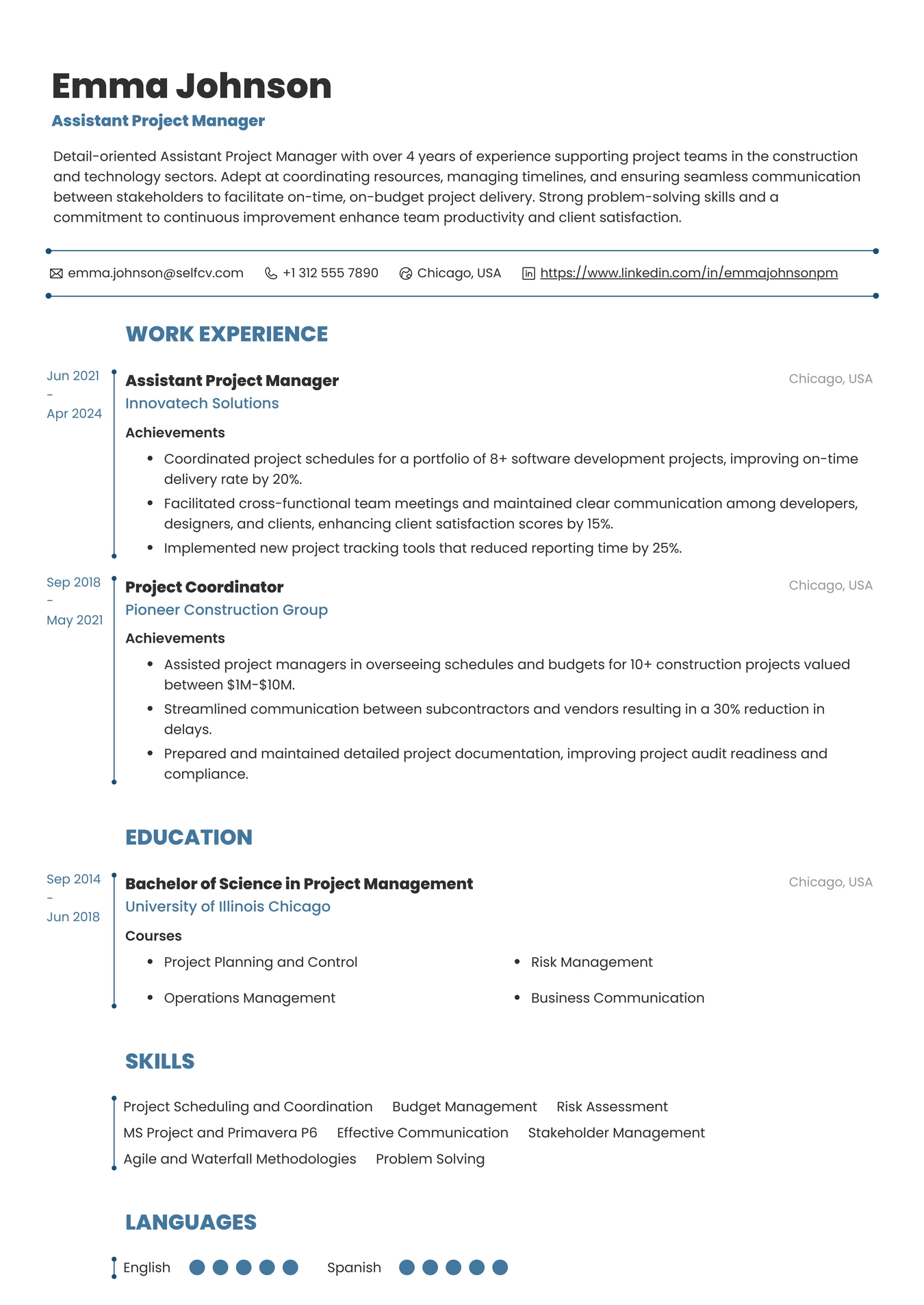 Assistant Project Manager