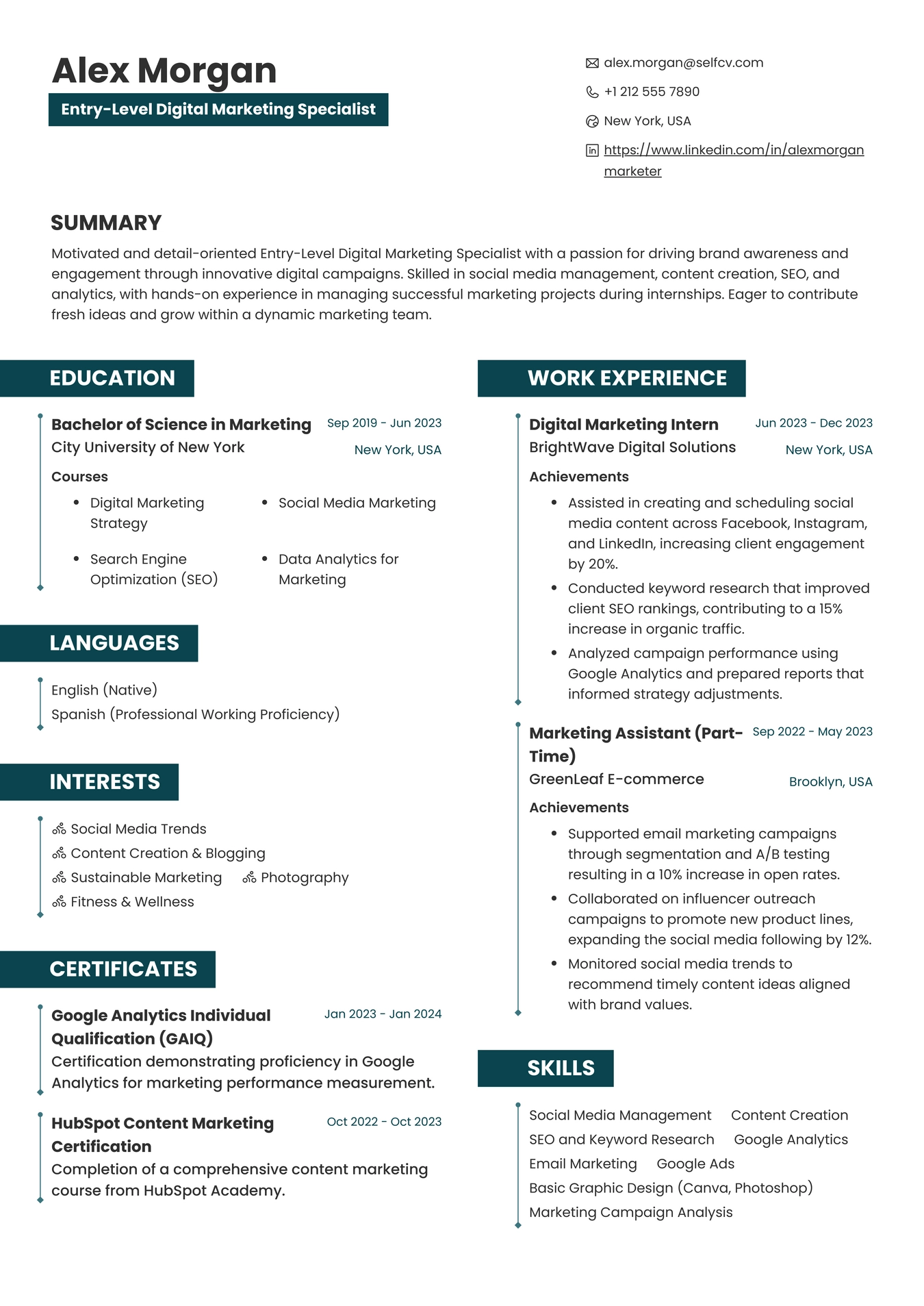 Entry-Level Digital Marketing