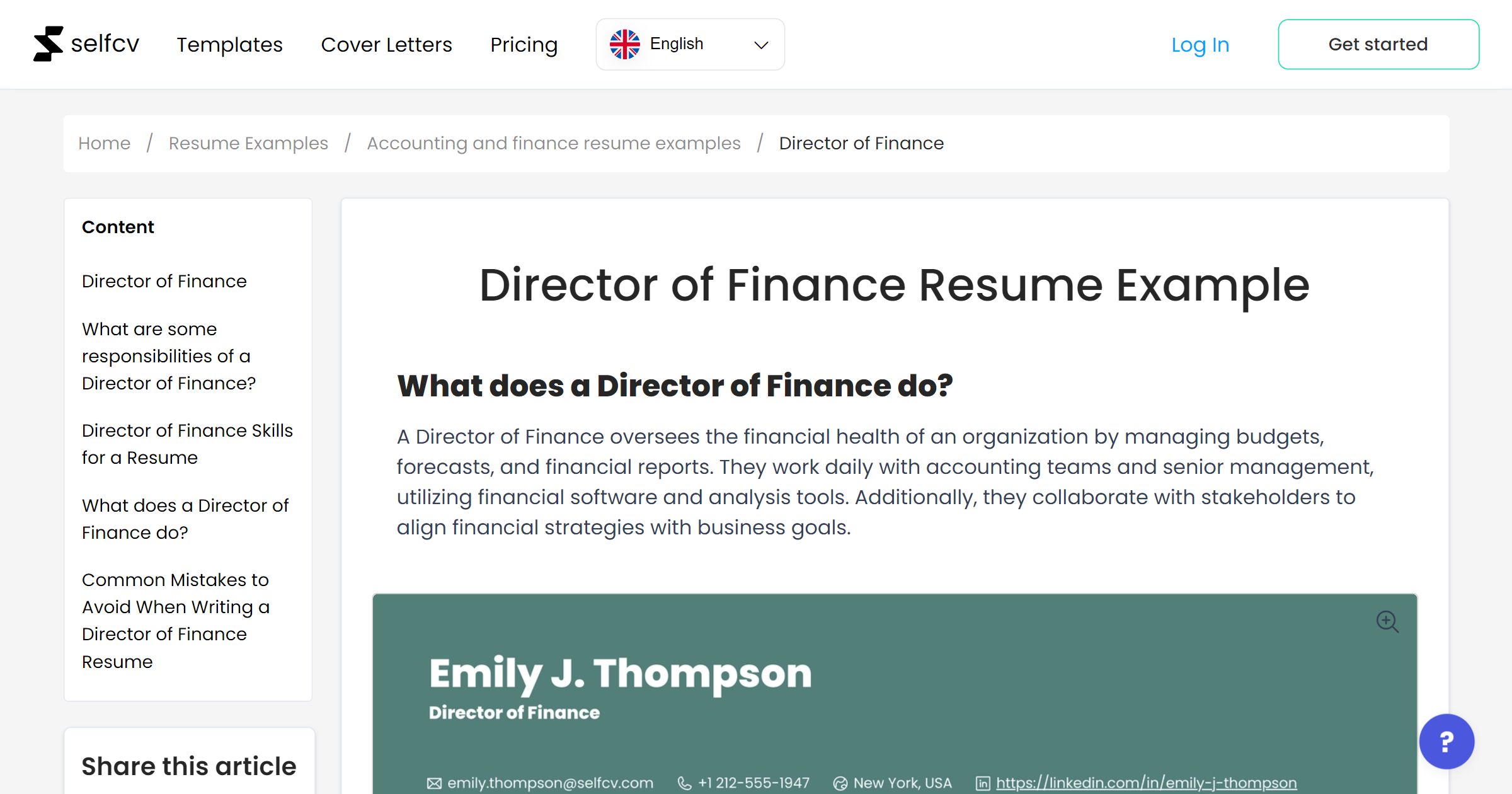 Director of Finance Resume Example