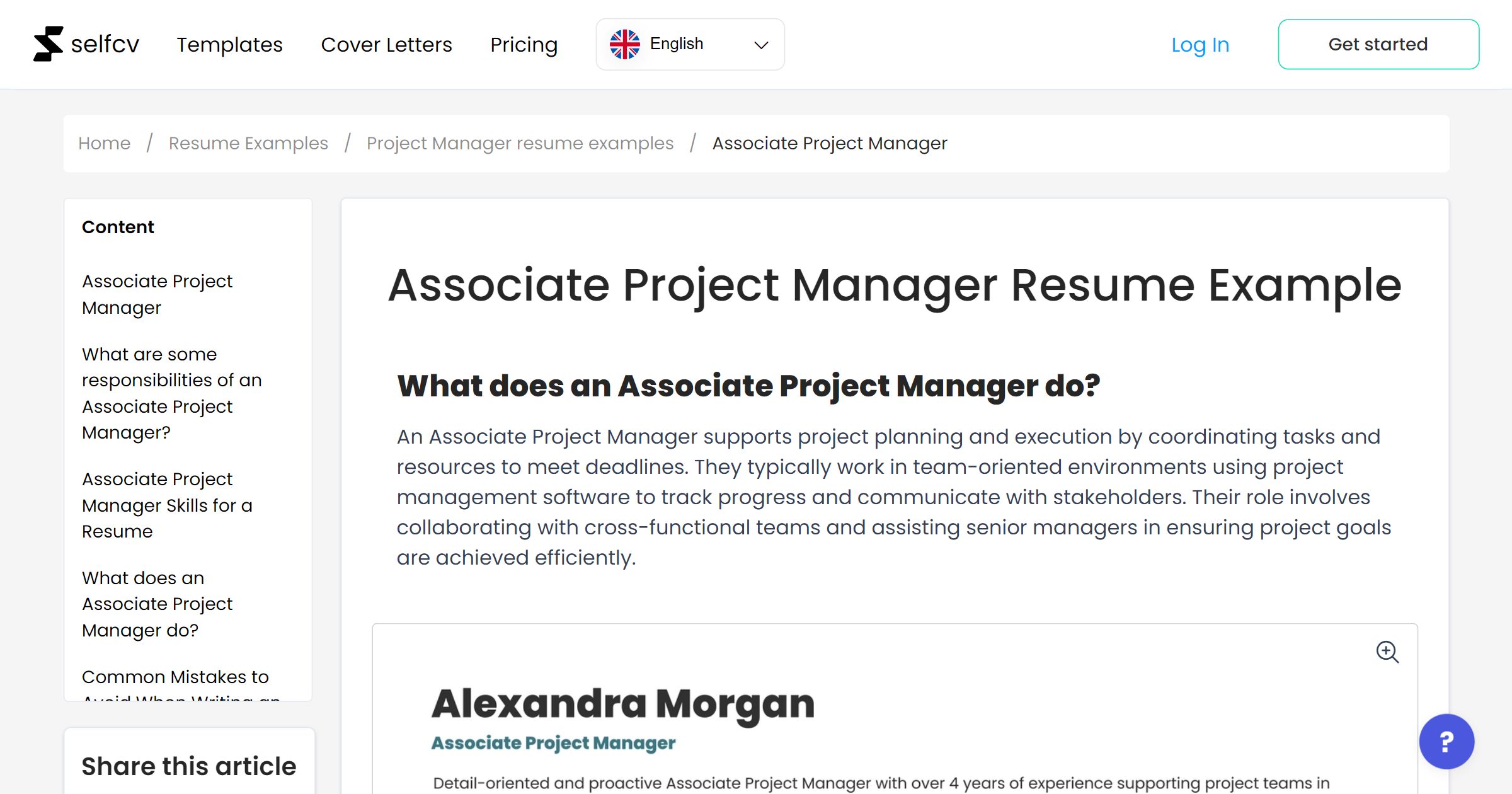 Associate Project Manager Resume Example