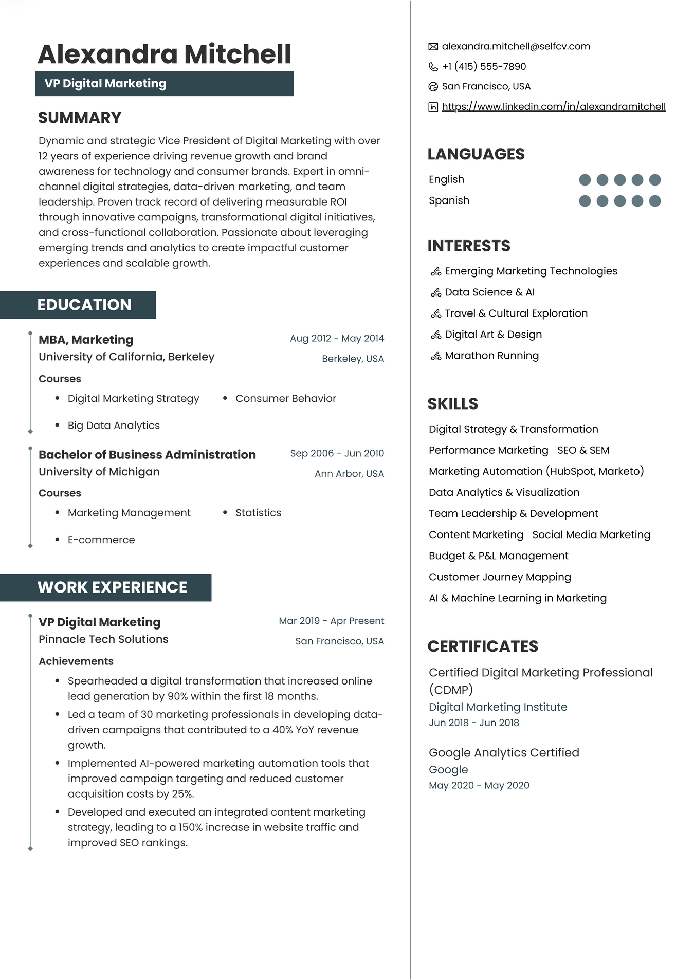 VP Digital Marketing