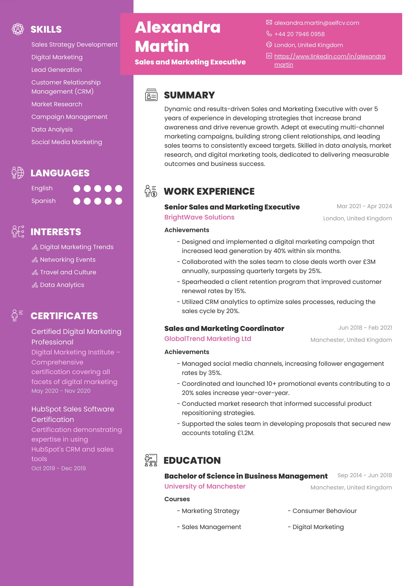 Sales And Marketing Executive