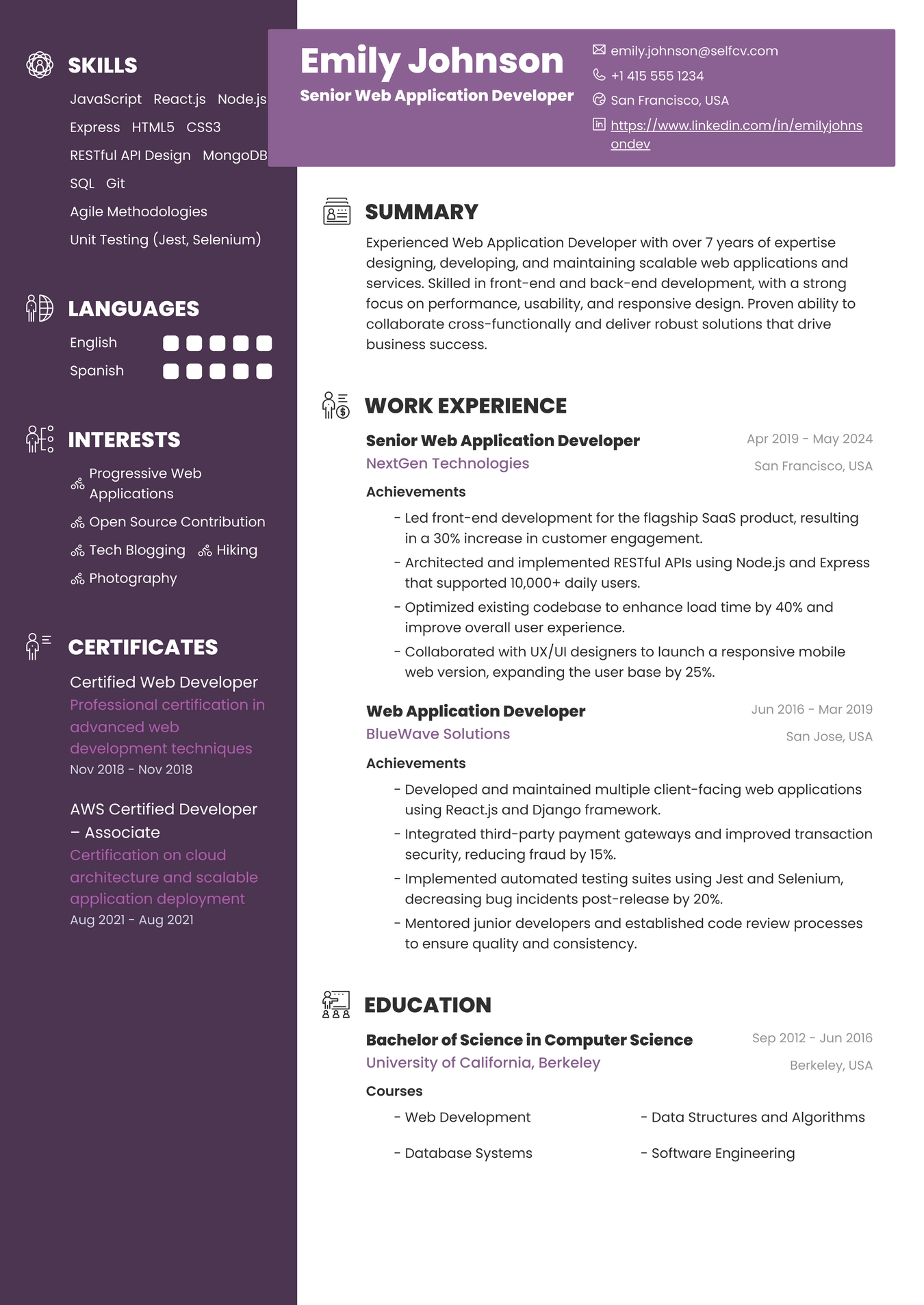 Web Application Developer