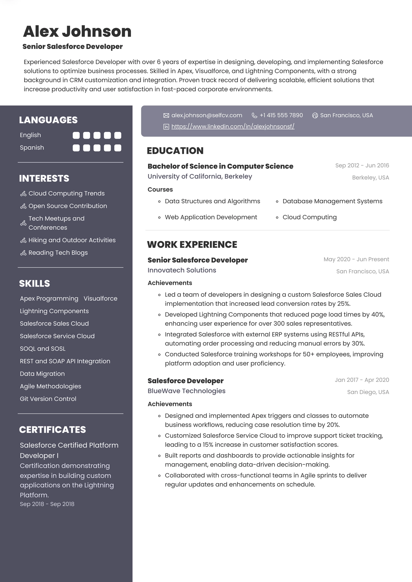 Salesforce Developer