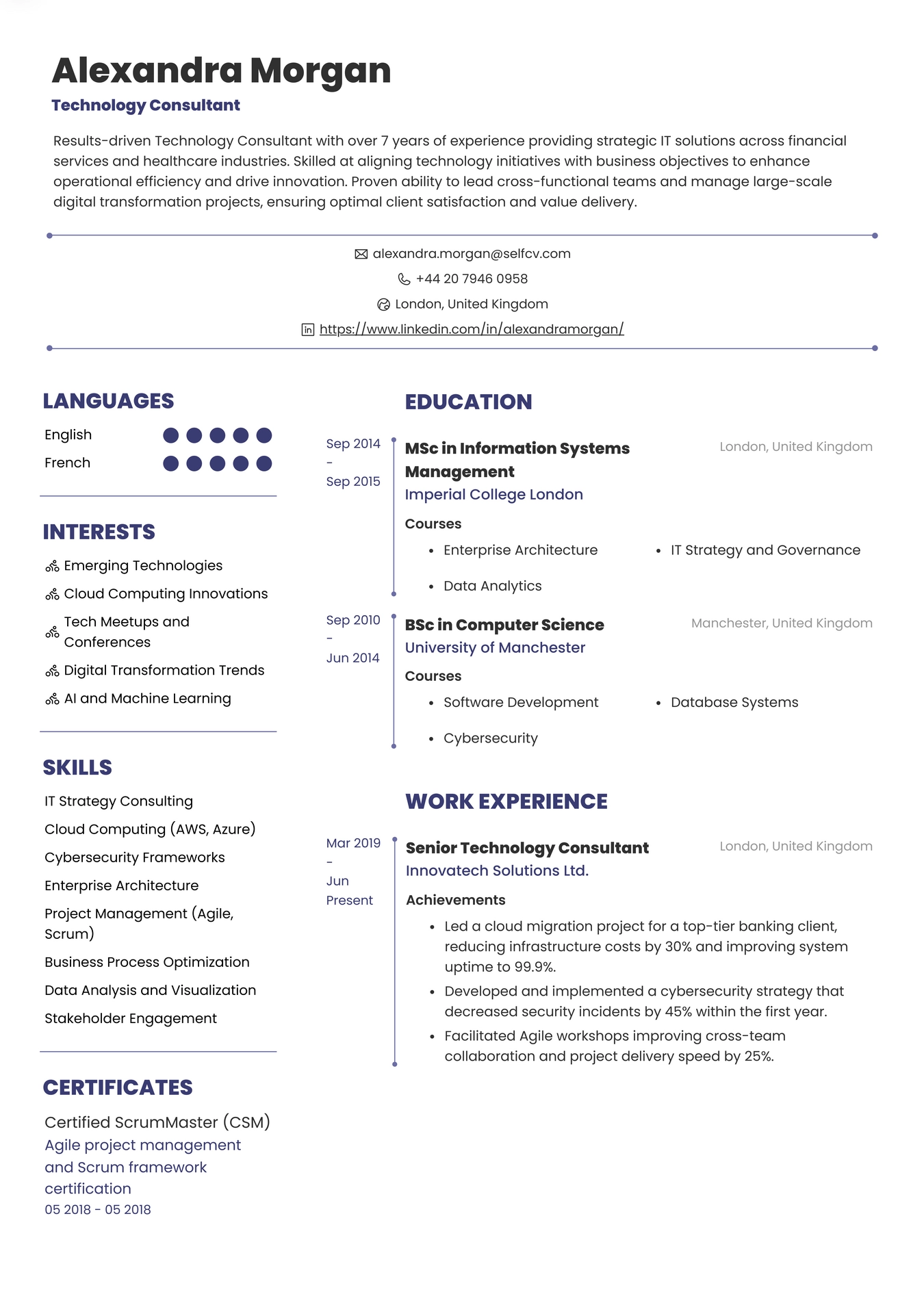 Technology Consultant