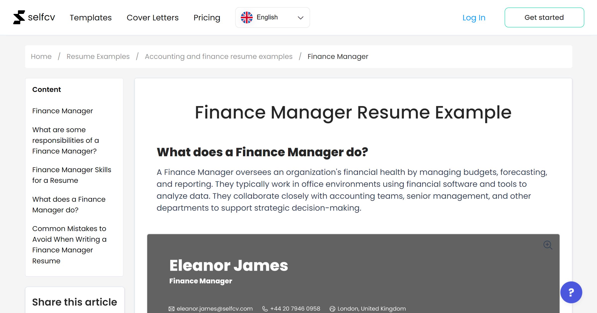 Finance Manager Resume Example