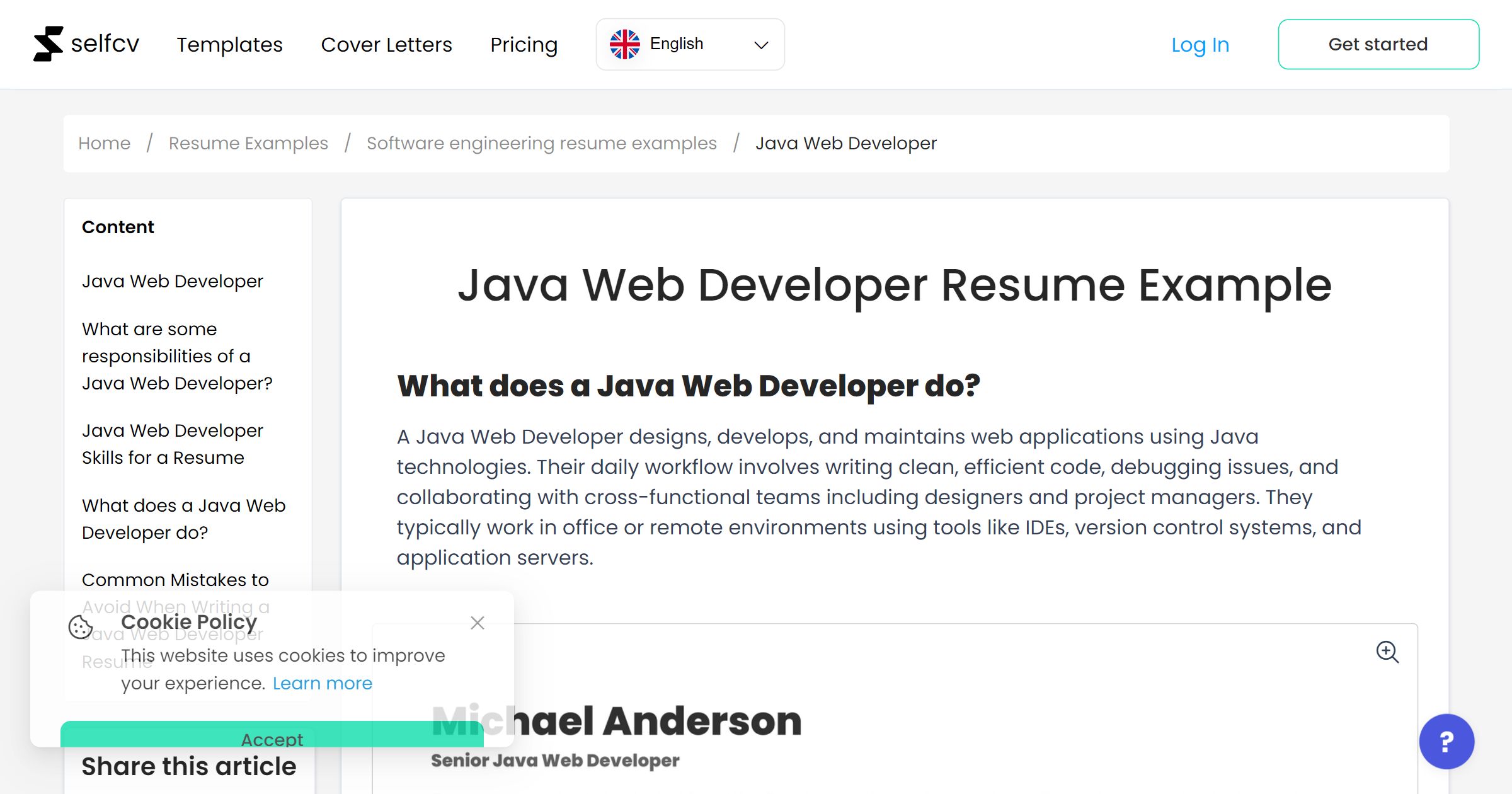 Java Web Developer Resume Example